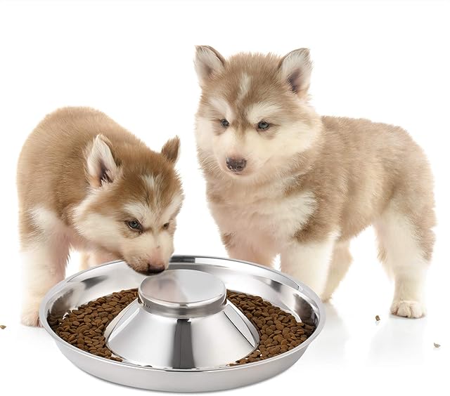 Yangbaga Puppy weaning Bowl, Stainless Steel Metal Dog BowlsCan be Used for Multiple Puppies to Eat Water Bowl and Dog Food Bowl at The Same Time (30cm/11.8in)