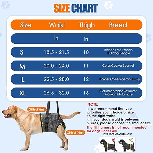 Miniatura 6 de SlowTon Arnés de elevación para perros, arnés ajustable para perros medianos y grandes, soporte para patas traseras para ayudar a rehabilitar, arnés