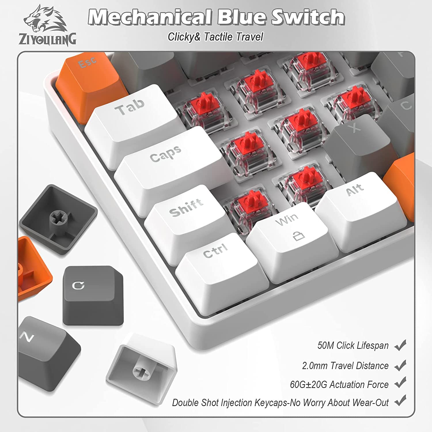 ZIYOU LANG T60 Clavier de Jeu Filaire avec Câble USB C Enroulé, QWERTY Mini 60% Compact 62 Key Anti-ghosting, 18 Rétroéclairage Arc-en-Ciel, Clavier Mécanique Linear Red Switch pour PC/Mac - Abeille