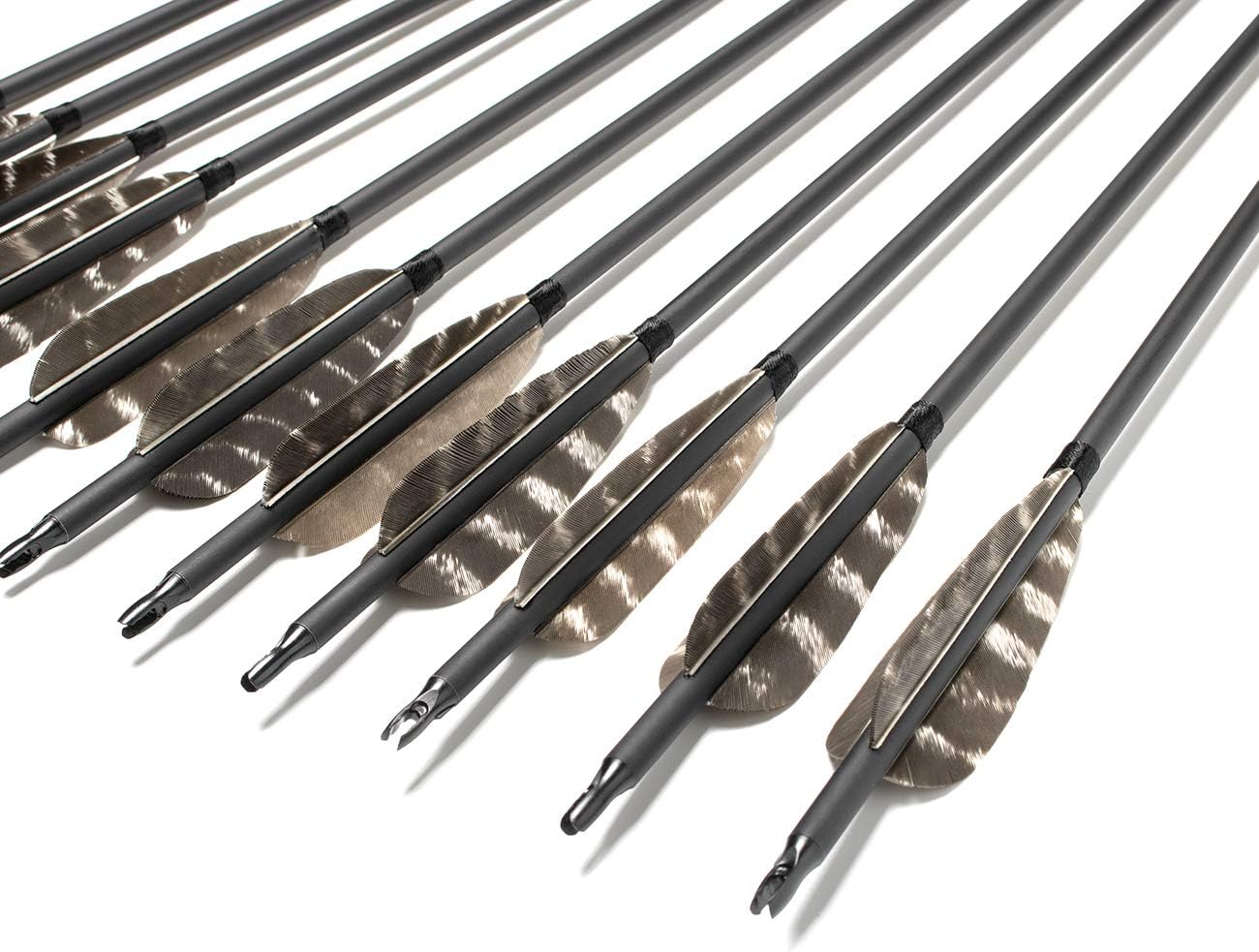 ARCHERY SHARLY 31Inch Carbon Targeting Practice Arrows Turkey Feather Fletching Arrows with Removable Tips for Recurve Traditional Long Bow (12 Pack) : Sports & Outdoors