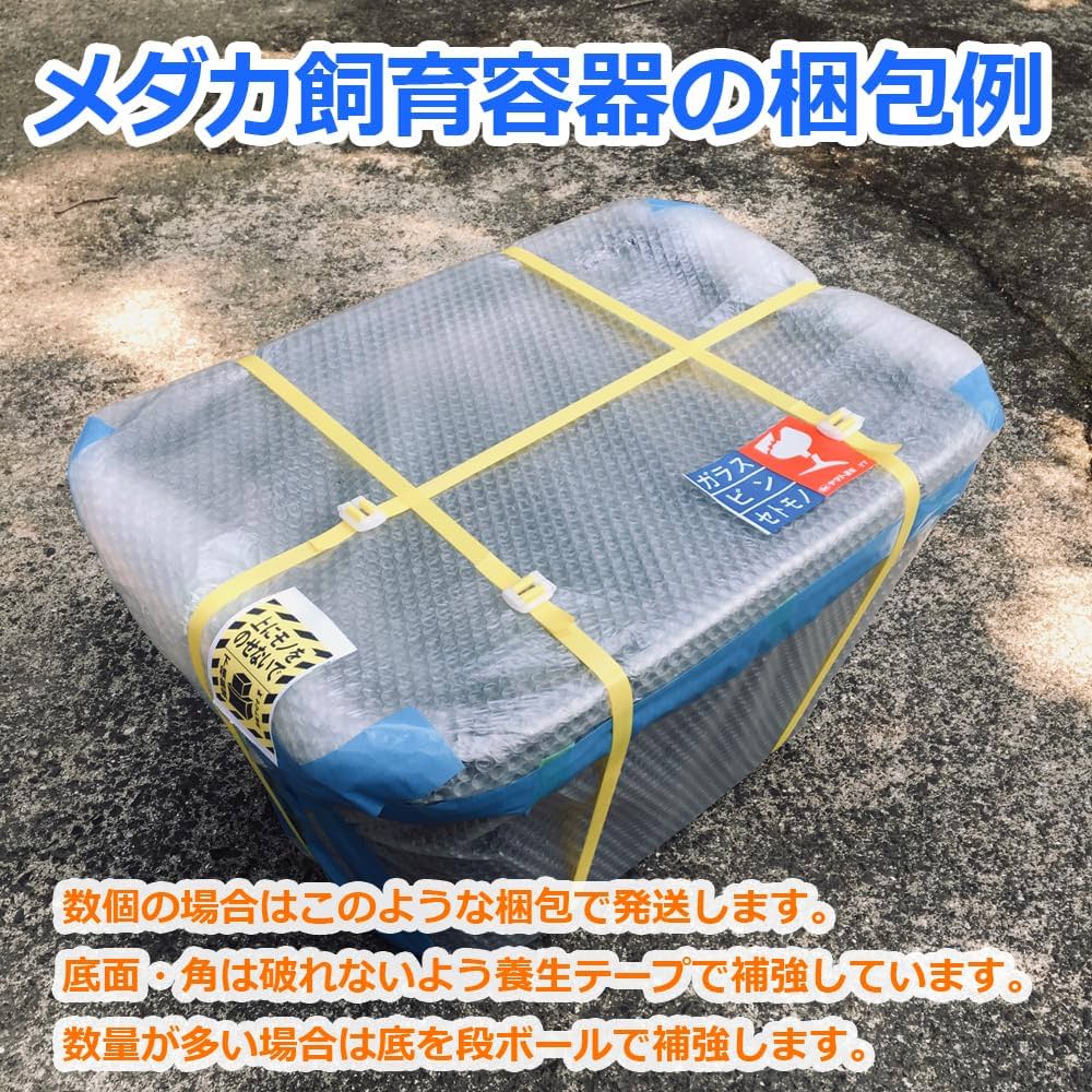 Amazon | 五色アクア メダカ飼育容器 56リットル グレー（灰