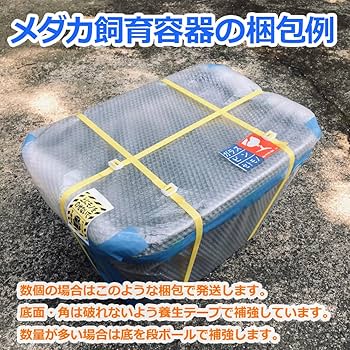 【新仕様】メダカ飼育ケース 36㍑x4個（4色から選択） オーバーフロー加工付 新仕様】メダカ飼育ケース 36㍑x2個（4色から選択