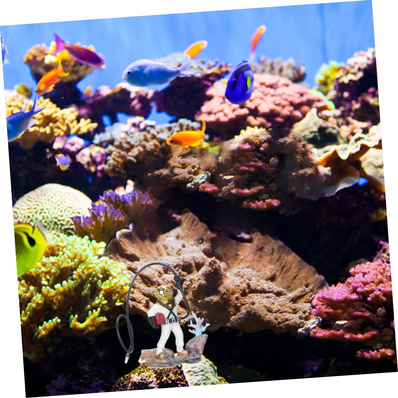 BESPORTBLE 3 Pièces Ornement De Modèle De Résine D'aquarium Grand Aquarium d'air D'aquarium Décor De Table Décor Extérieur Américain Betta Réservoir De Tortue Ornements Blanche