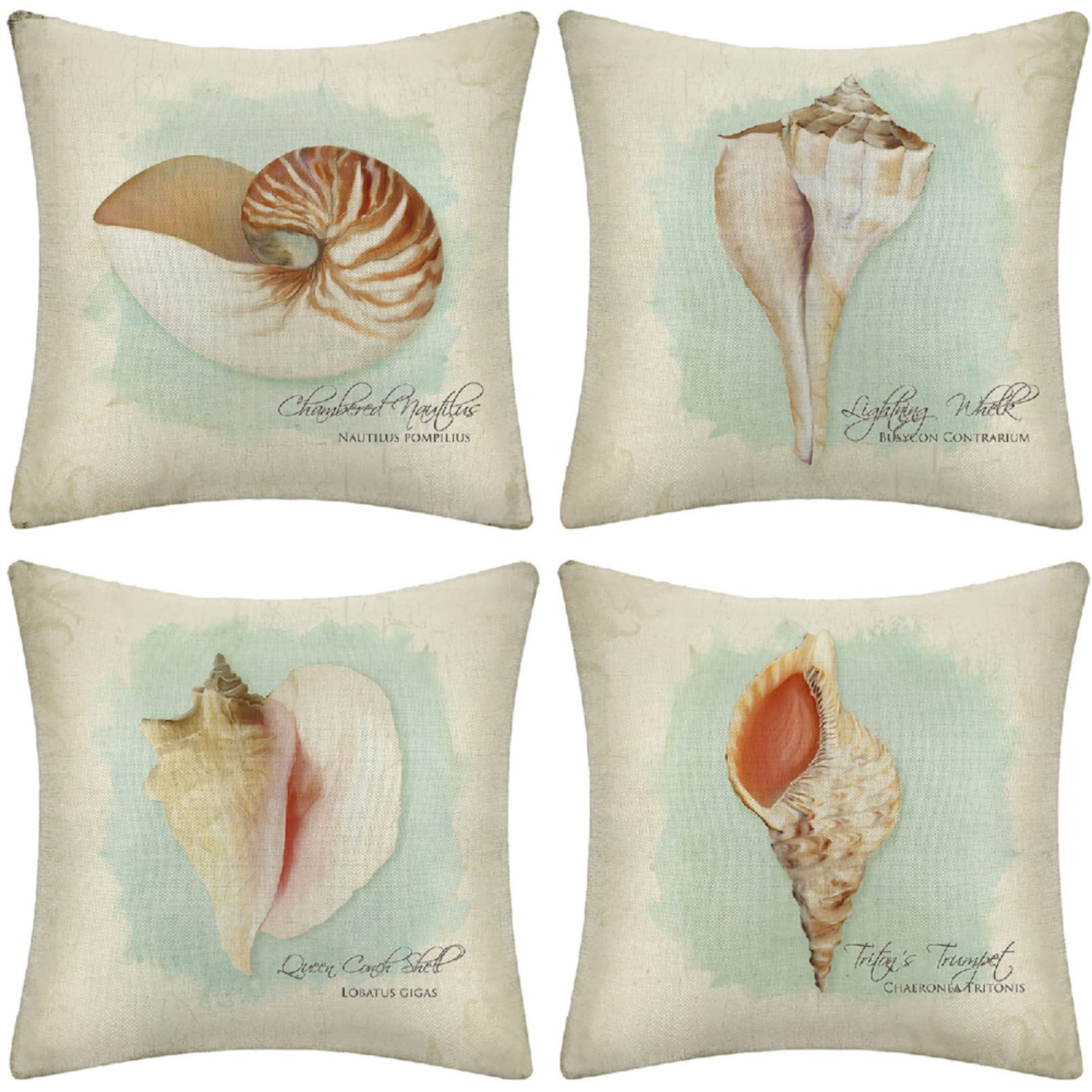 Concha Cojines 60x60cm,Funda de Almohada de Moderna Decorativa Cojín Decorativo para Sofá,Decoración para Casa,Estampado por Ambos Lados Juego de 4 Exterior Cojines a308