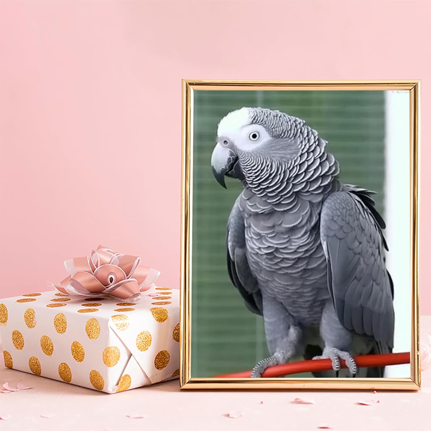 5D DIY Diamond Art Painting Kits for Adults African Grey Parrot DIY Paint with Round Diamond Gems Painting Art Craft for Home Wall Decor 12x16Inch/30x40cm
