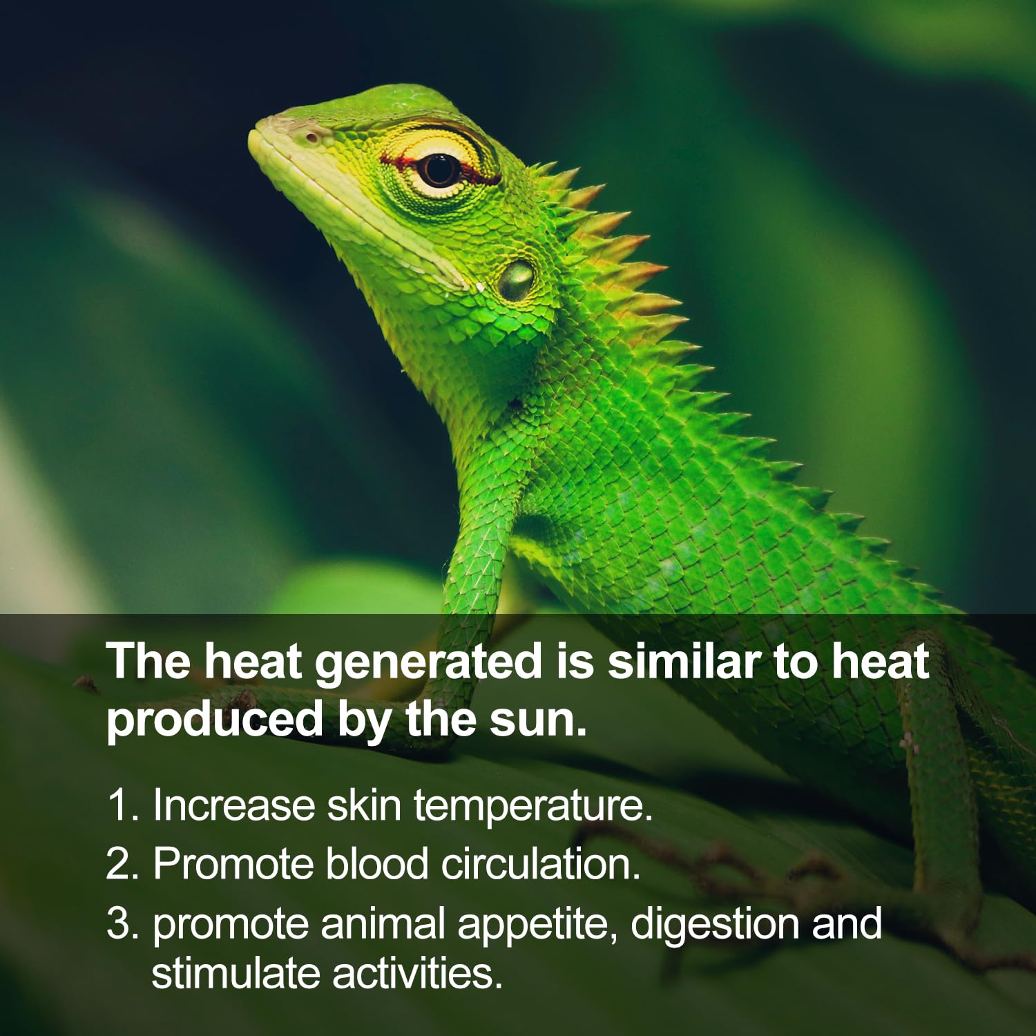 REPTI ZOO Reptile Basking Heat Lamp Bulb, 100W Splashproof Energy Saving Deep Heater Non-Luminous Carbon Infrared Heat Bulb for Reptile Amphibians - image 4