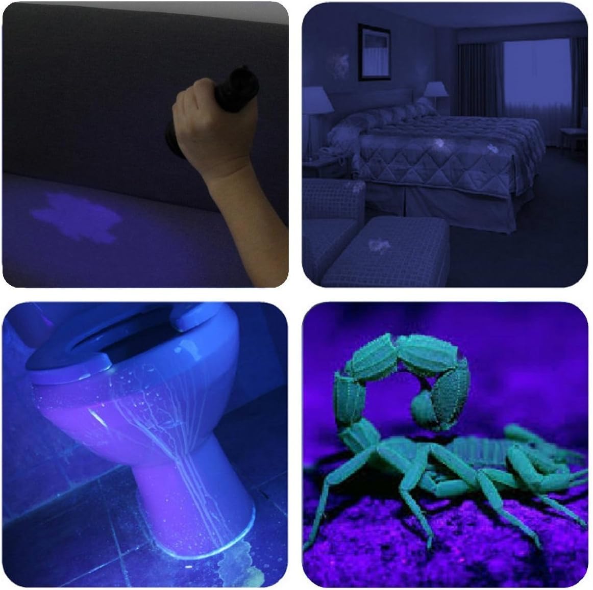 Vansky UV Flashlight Black Light 51 LED & 51 LED Blacklight Pet Urine Detector for Dog/Cat Urine,Dry Stains,Bed Bug, Matching with Pet Odor Eliminator