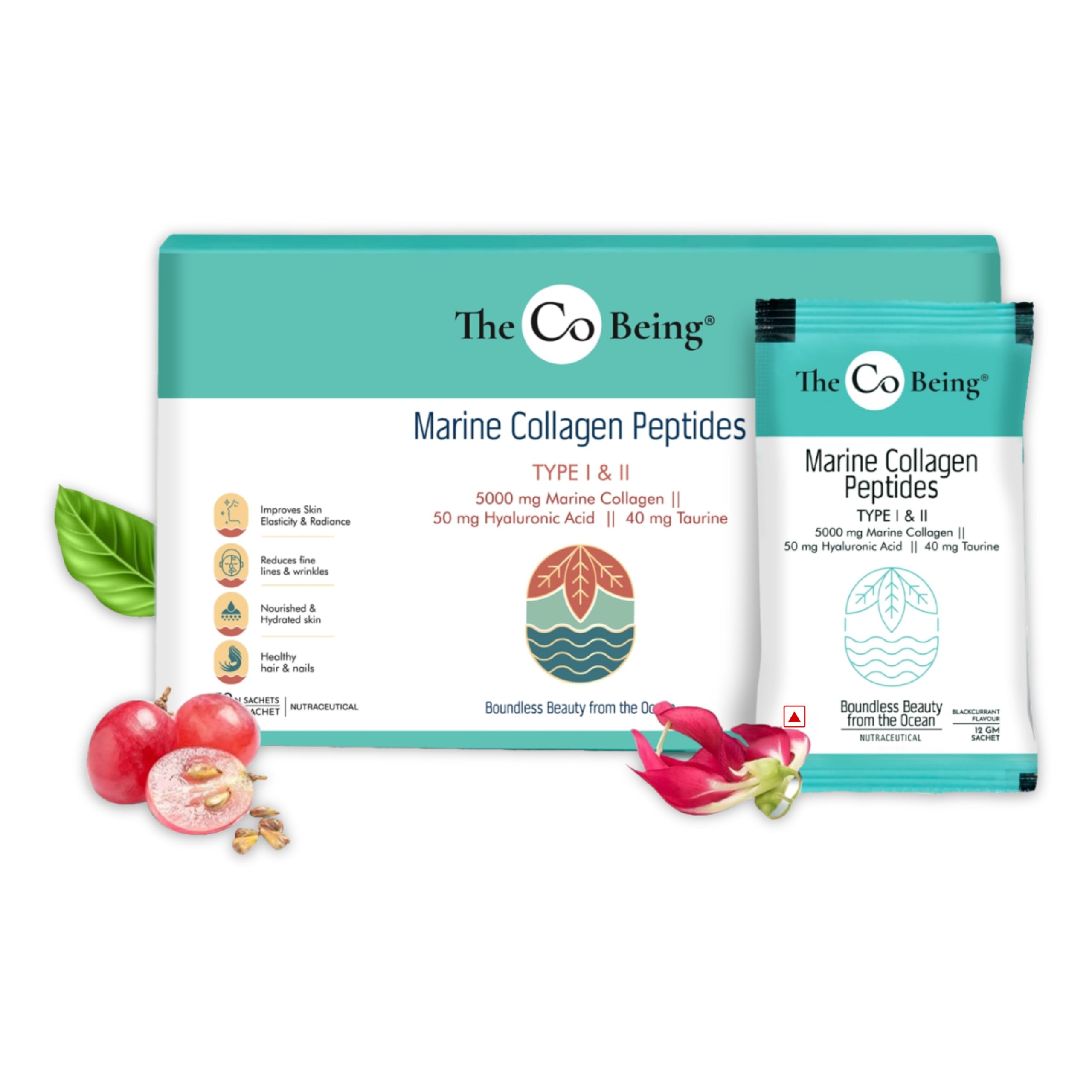 Marine Collagen Peptides for Men and Women | Collagen Supplement for Skin, Hair & Nails | 5000mg Pure and Hydrolyzed Type 1 & 2 | 12g x 30 Sachets | Blackcurrant Flavor