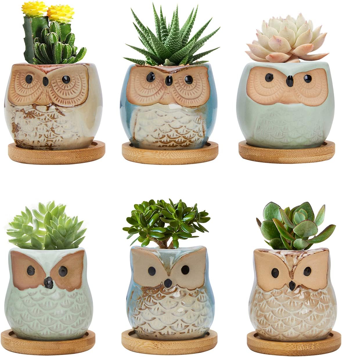 Warmplus Owl Succulent Pots, 6CM Cute Owl Cactus Pots Animal Plant Pot Small Flower Pots with Drain Hole and Bamboo Tray, and Great for Home Office Decor, Set of 6 (Plants Not Included)