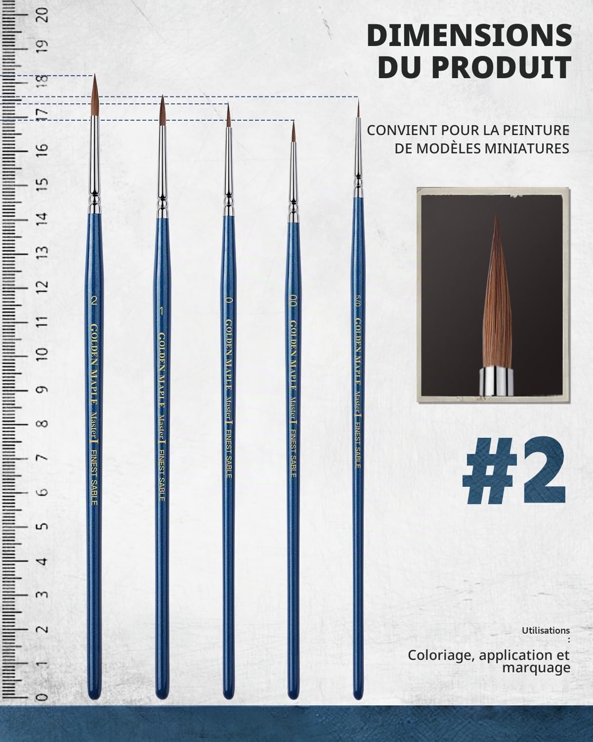 Golden Maple Kolinsky Sable Brush Lot de 5 pinceaux ronds pour aquarelle N° 2, 1, 0, 2/0, 5/0 - Idéal pour les figurines miniatures, l'aquarelle