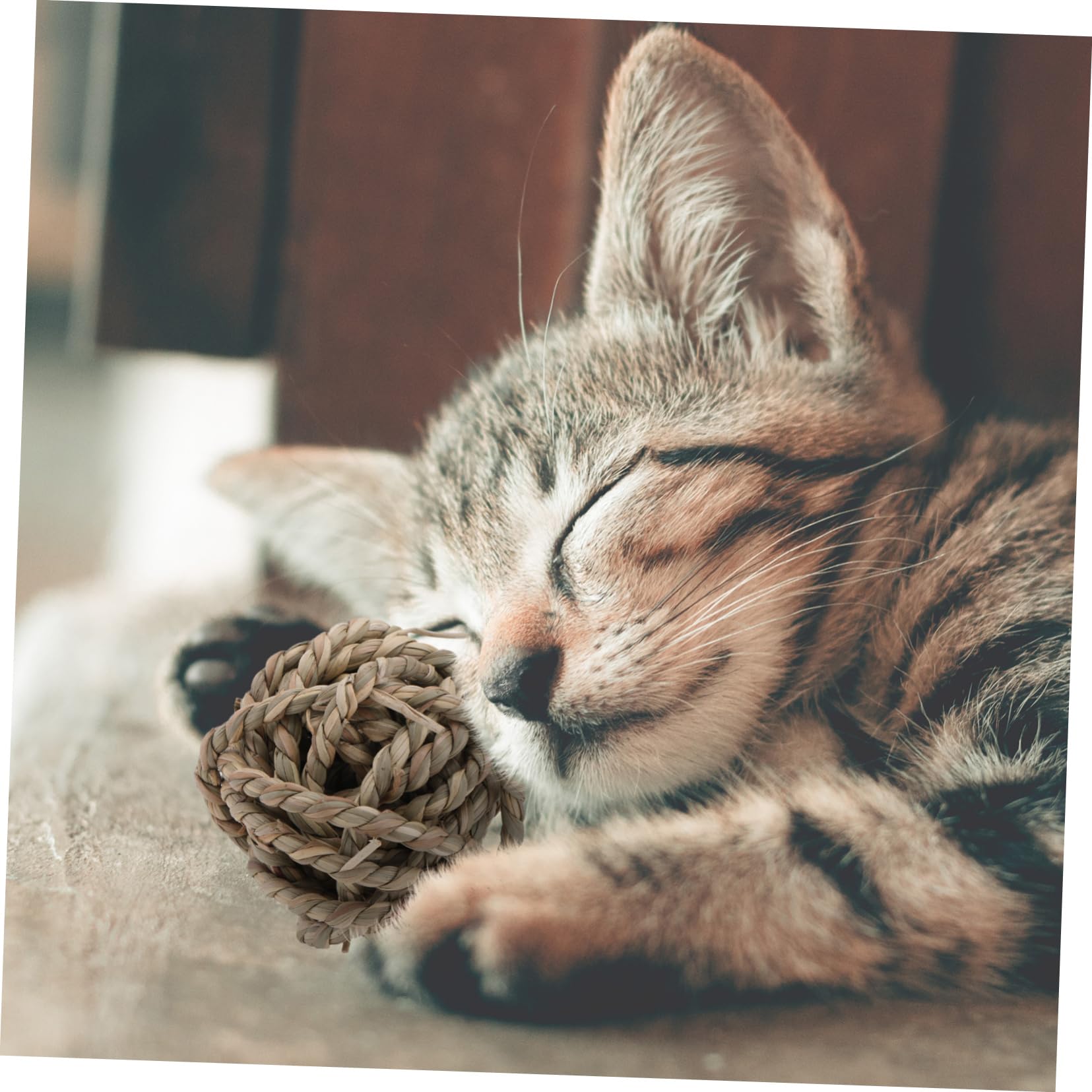 SUPVOX 9pezzi Palline Rattan Per Domestici Giocattoli Masticabili Per Conigli Porcellini e Piccole Creature Sicuri e Completamente e La Masticazione