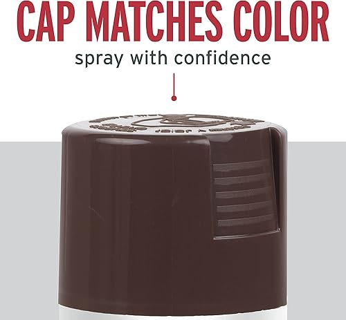 Vista 107 de Rust-Oleum 7776830 Stops Rust Spray Paint, 12 oz, Flat Black