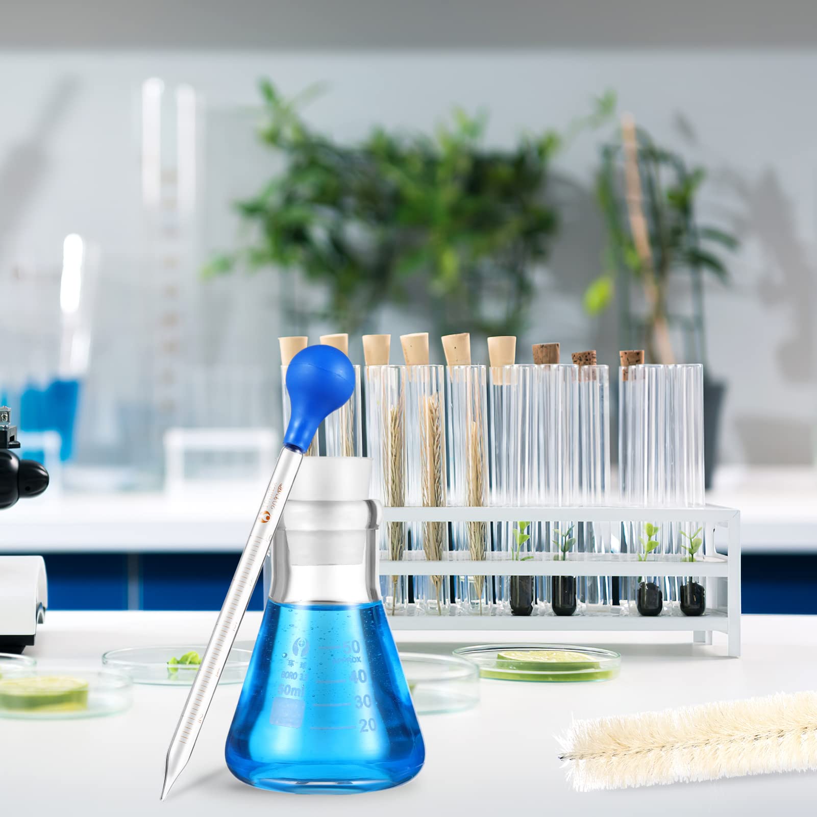 Set Beuta di Erlenmeyer in Vetro 50 Ml con Pipette | Scala Standard, Pipette Contagocce da 10 Ml, con Spazzola per Pulizia e Bacchette per Mescolare
