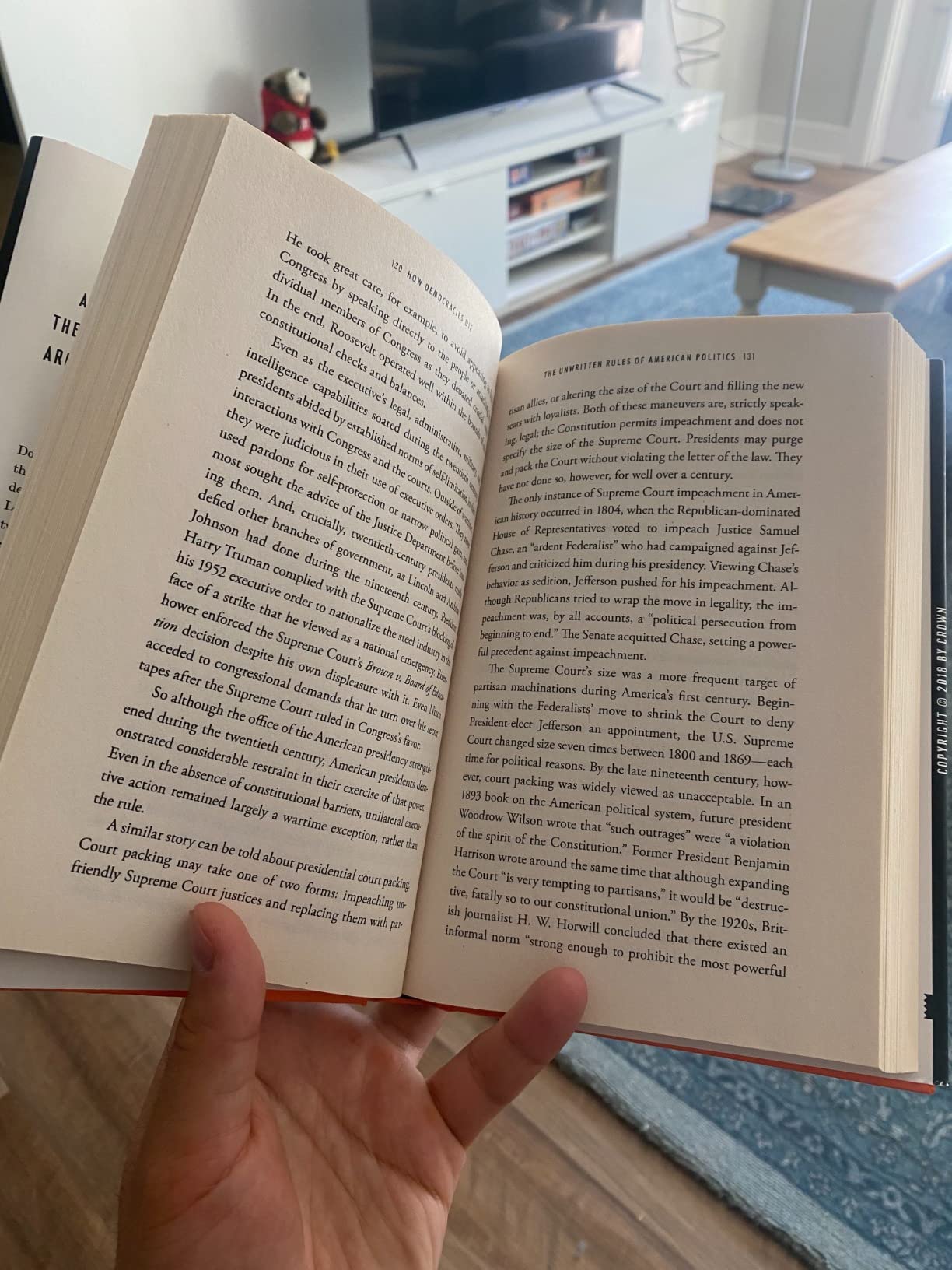 fantastic Book, timely delivery, and in great condition - highly recommended!