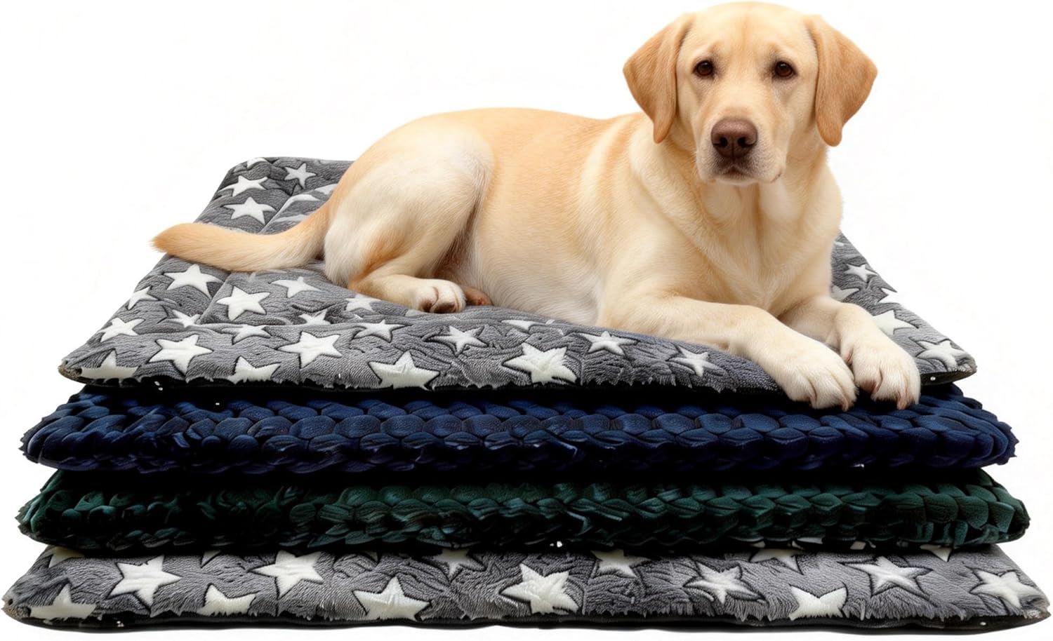 4 Piece Washable Dog Bed Mat with Anti-Slip Bottom, Deluxe Plush Memory Foam Crate Pad & Waterproof Outdoor Kennel Mat for Dogs & Cats-Durable Crates Beds, Large Medium Small Puppy Size 36" x 24",L
