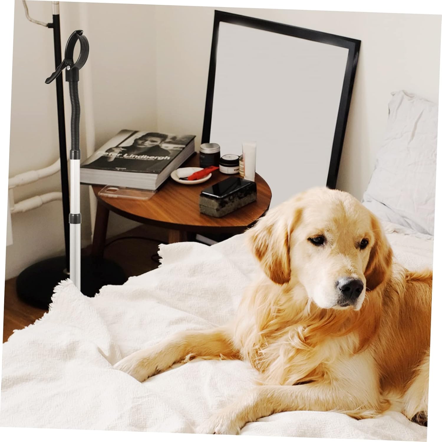 Pet Hair Drying Holder Stand for Dog Hair Dryer Clamp Mount Quality Bracket