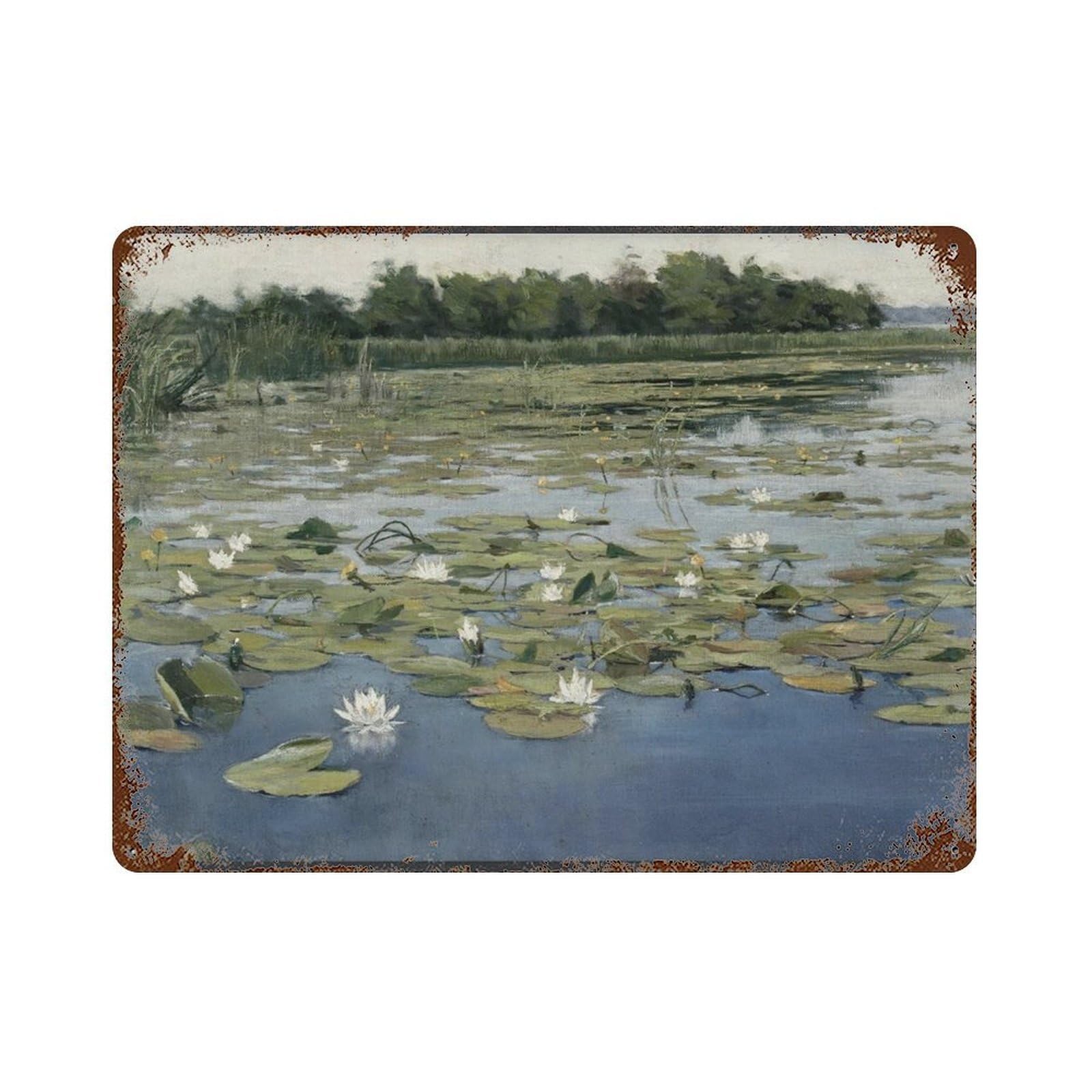 xiaoxiaoshen Water Lilies by Henryk Weyssenhoff Wall Decor Art Metal Tin Poster Modern Home Decor Art Home Bar Shop Decorations Vintage Sign 30x40cm