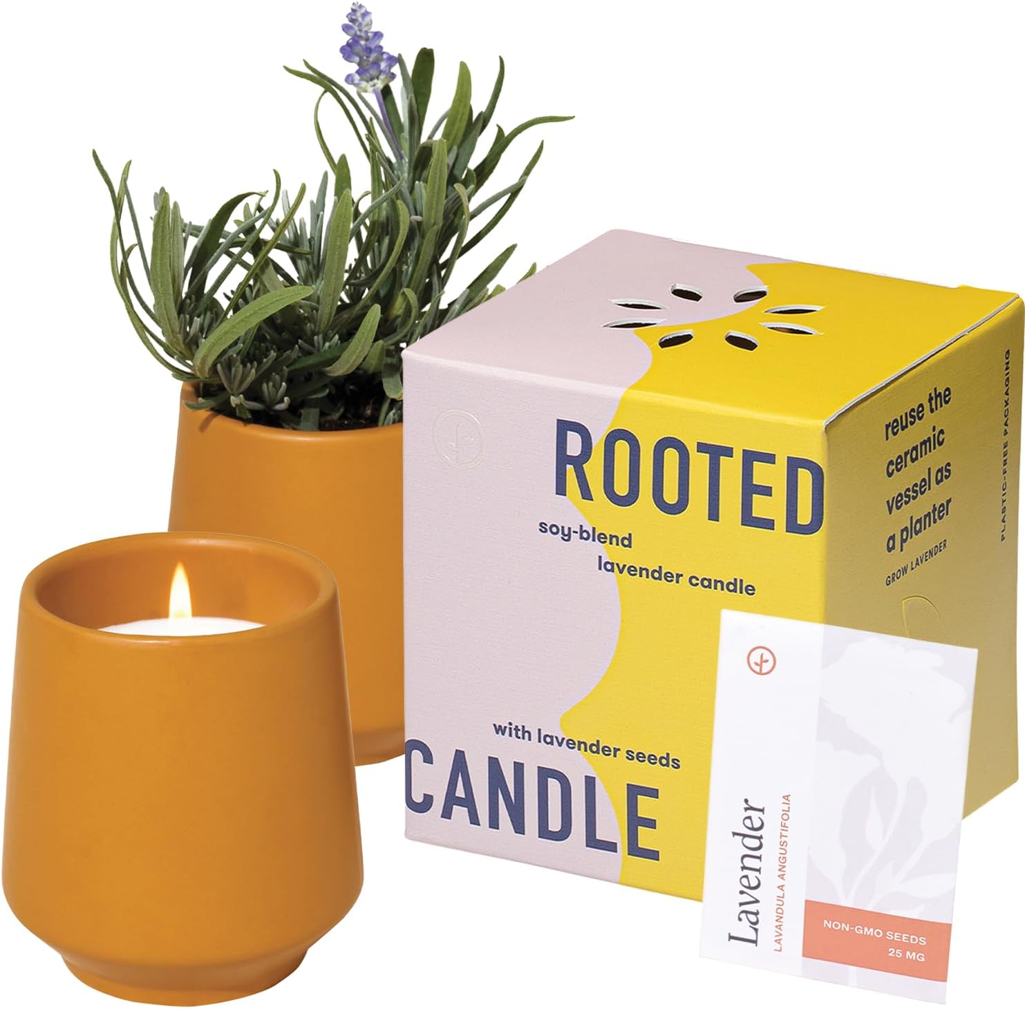 Modern Sprout Soy Candle Planter - Grows Lavender - Cedarwood Scent - 6 oz | 2-in-1 Candle - 42-hr Burn Time - Reusable Ceramic Pot+Non-GMO Seeds - Housewarming Gifts for Plant Lovers -Lavender Fields