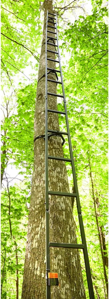 Guide Gear Climbing Ladder for Tree Stands, Climbing Equipment for Deer Hunting, 20’