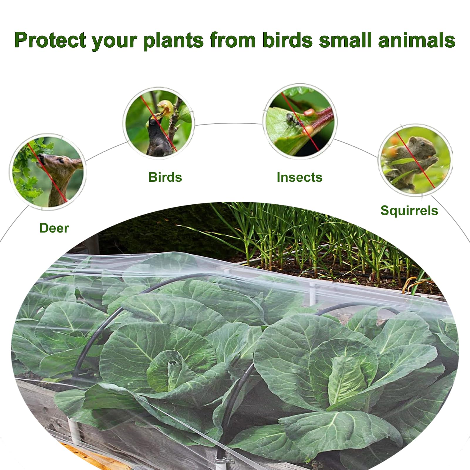 Genérico Red De Protección contra Aves 10x10 15x15m,Malla Protectora | Malla Mosquitera De Trama Fina,Red Antiinsectos Antigranizo,Para Jardines Balcones Árboles Frutales Plantas