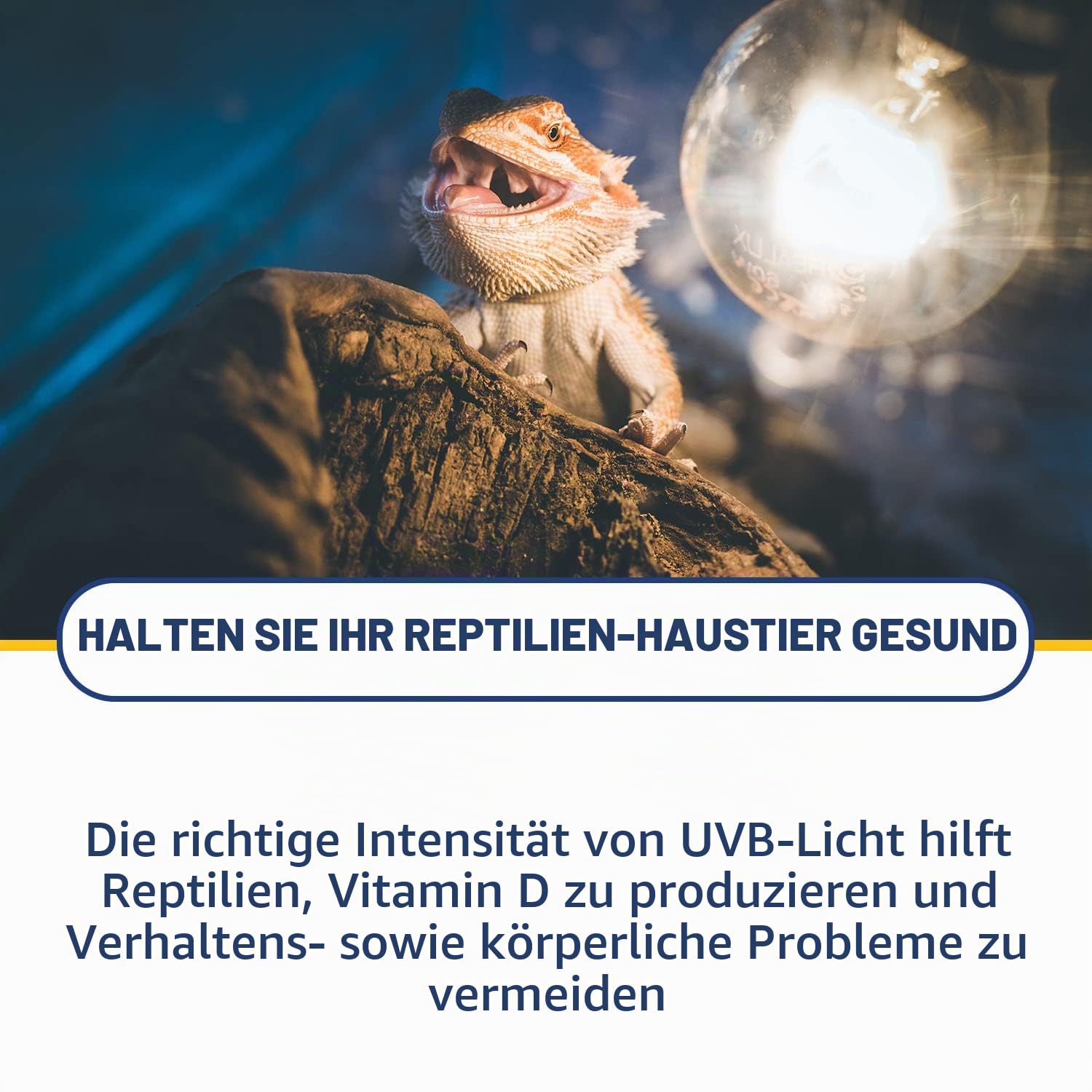 Solarmeter UV-Index-Messgerät für Reptilien, Modell 6.5R, ABS-Polymer, schwarz