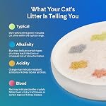 PrettyLitter Health Surveillance du chat Litter (Non parfumé, non collant) & Faible suivi, Cristaux de gel de Silice changeant de couleur, Contrôle avancé de l'odorat — 6 Lbs, boîte de 1 (Approvisionnement d'un mois)