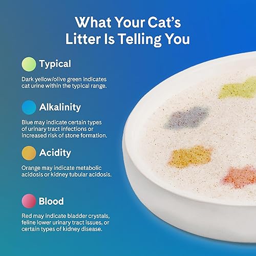 Miniatura 6 de PrettyLitter Arena para gatos con monitoreo de salud (sin perfume, sin aglomeración) Arena ligera y de bajo seguimiento, cristales de gel de sílice