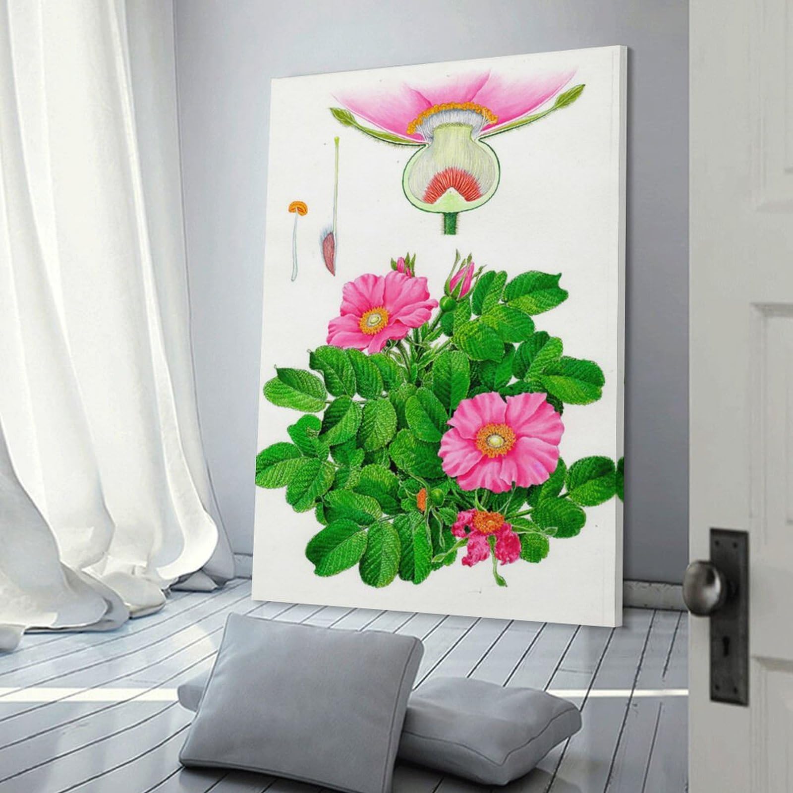 Amazon.co.jp: 水彩画 植物細密画「ハマナス」 ホーム装飾 アート