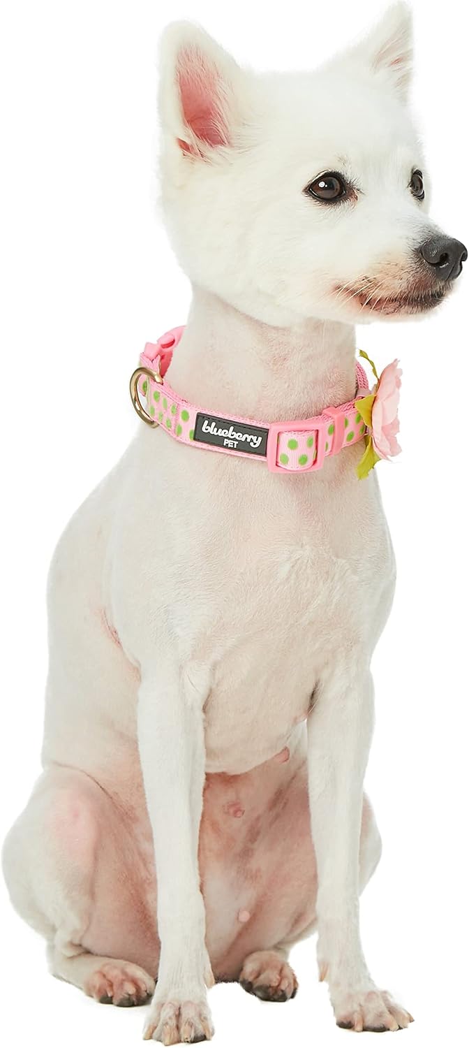Blueberry Pet Adjustable Flocking Dog Collar with Artificial Silk Flower - Polka Dot in Baby Pink, Small, Neck 12"-16"