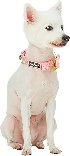 Miniatura 4 de Blueberry Pet 20 patrones más codiciados collares de perro de diseño, correa o arnés a juego, rosado bebé