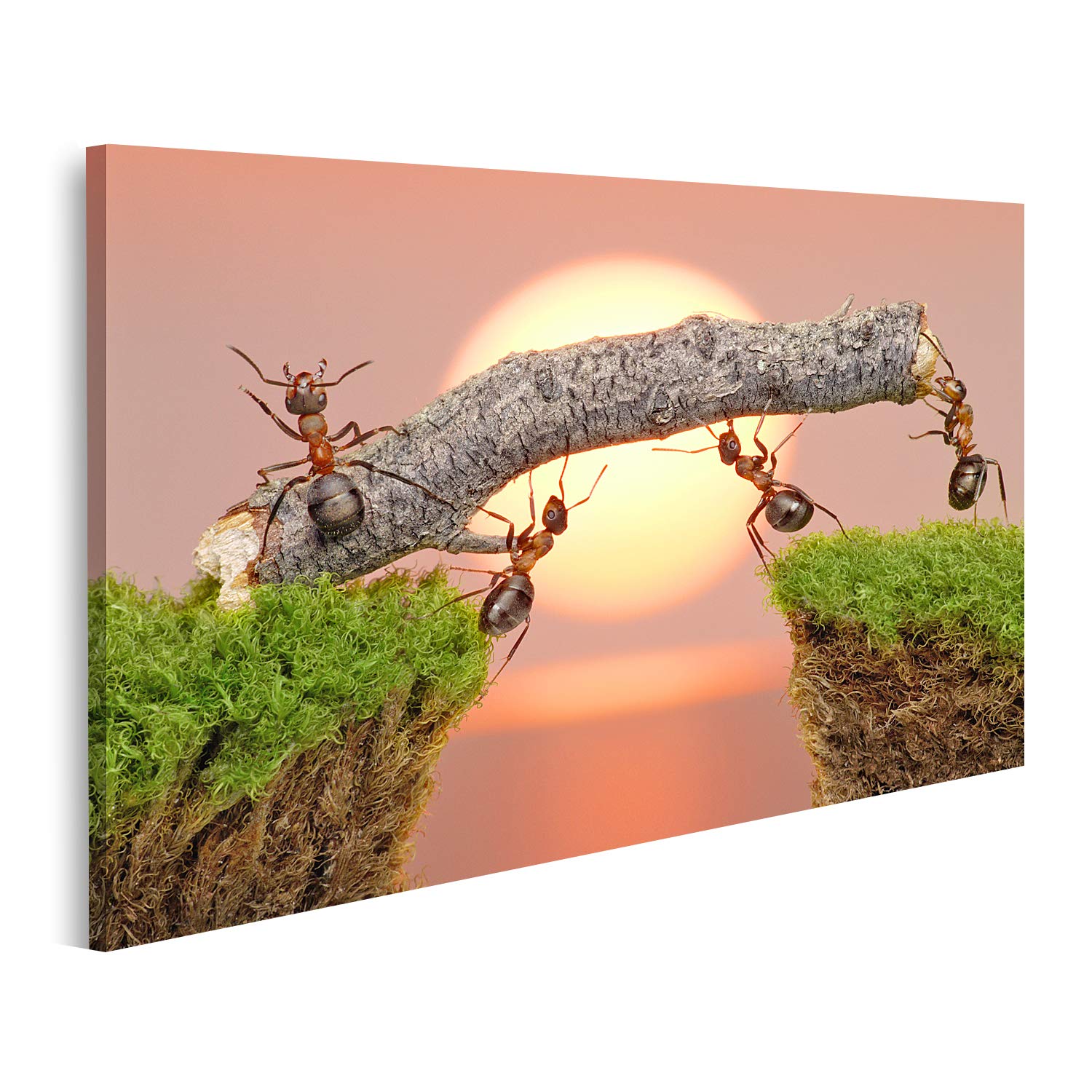 islandburner Prime Quadro su tela, motivo: formiche, lavorare, ponti, costruzione, lavoro di squadra, poster su tela GDPL