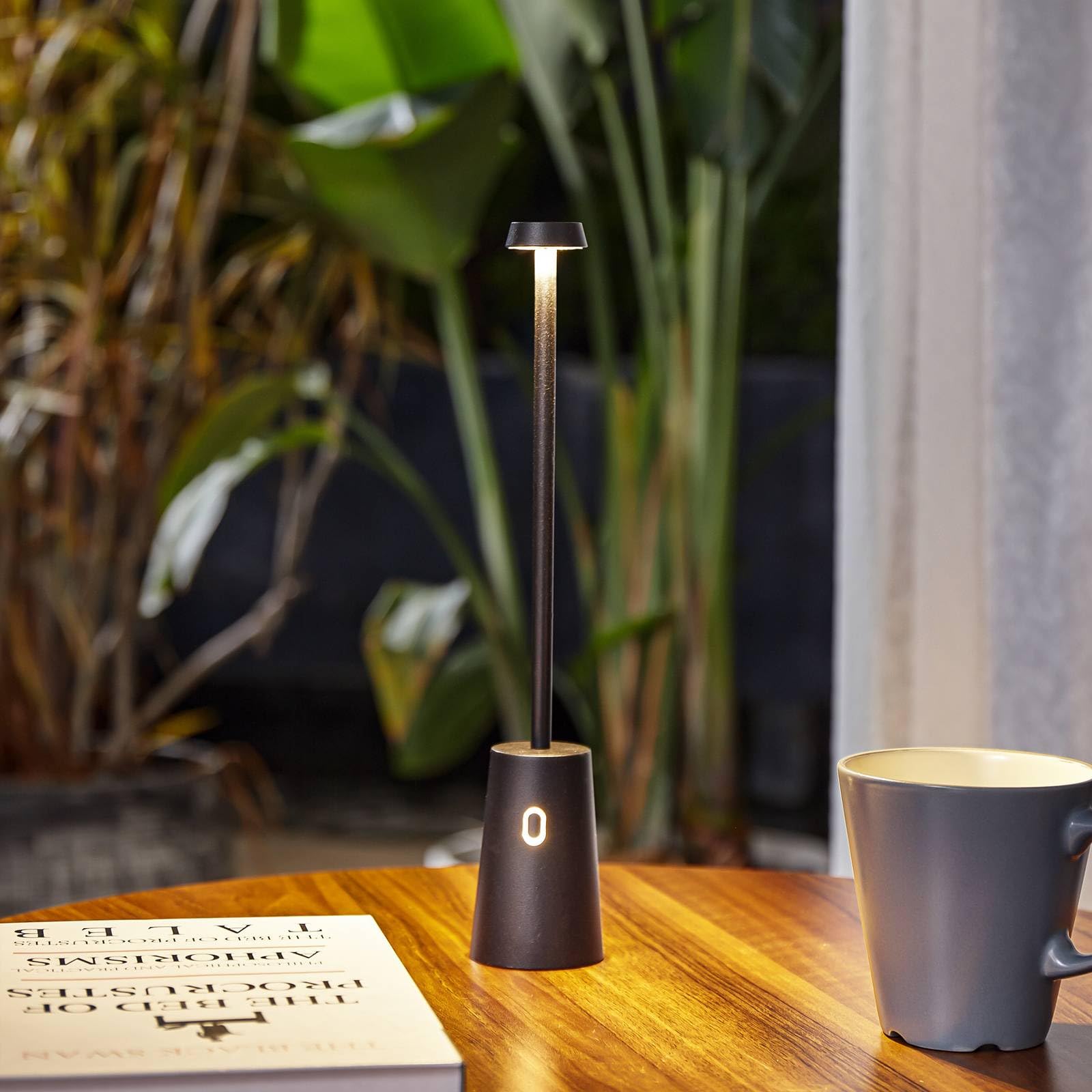 Lindby LED Luminaire de terrasse Noelani à intensité variable (Moderne) en Noir (1 lampe,à)