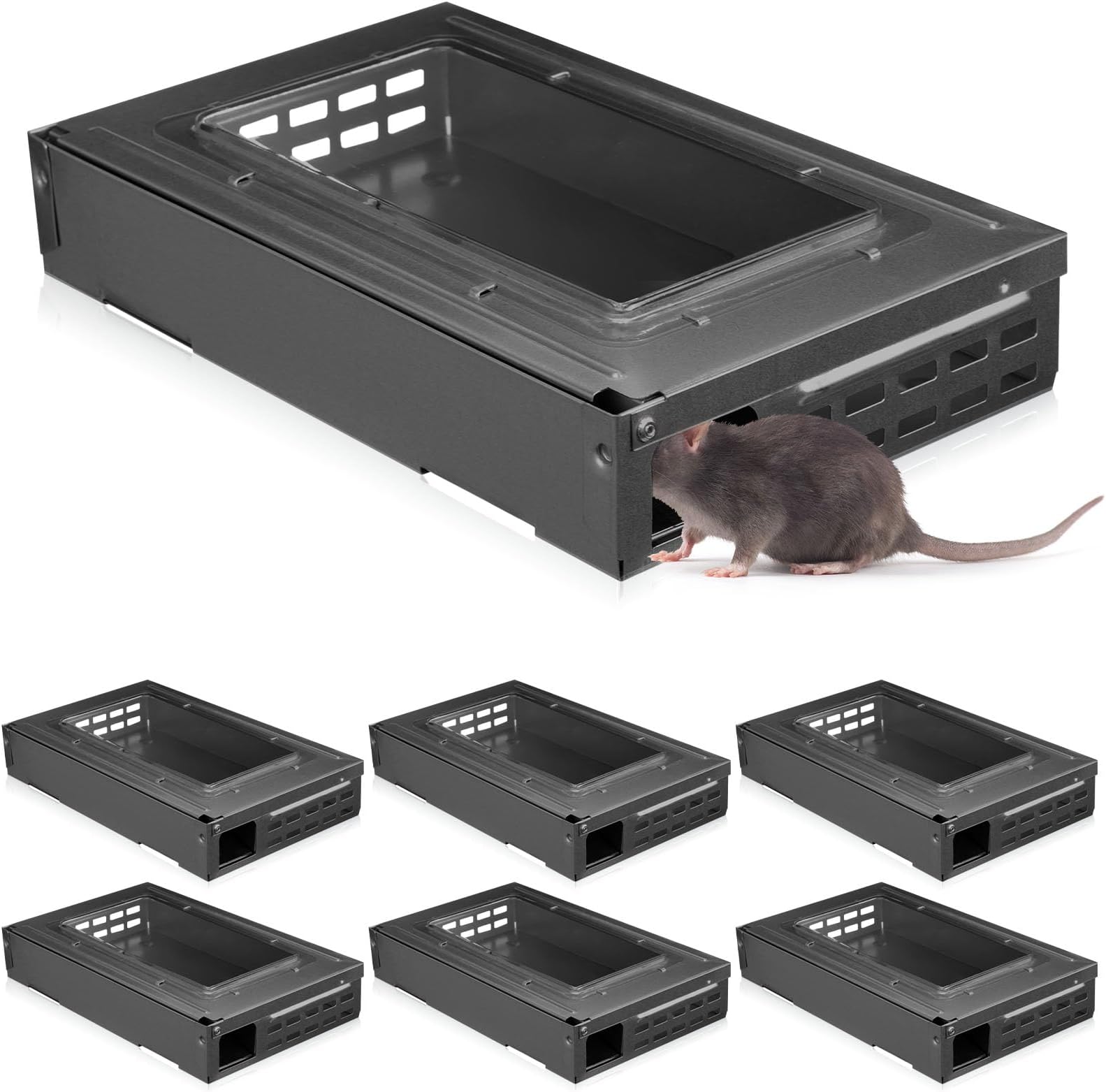 Qualirey 4 Pack Multi Catch Mice Trap Clear Top Humanized Mouse Trap Rodent for Indoor Outdoor Rat Control Pet and Security (6.3 Inch,Silver)