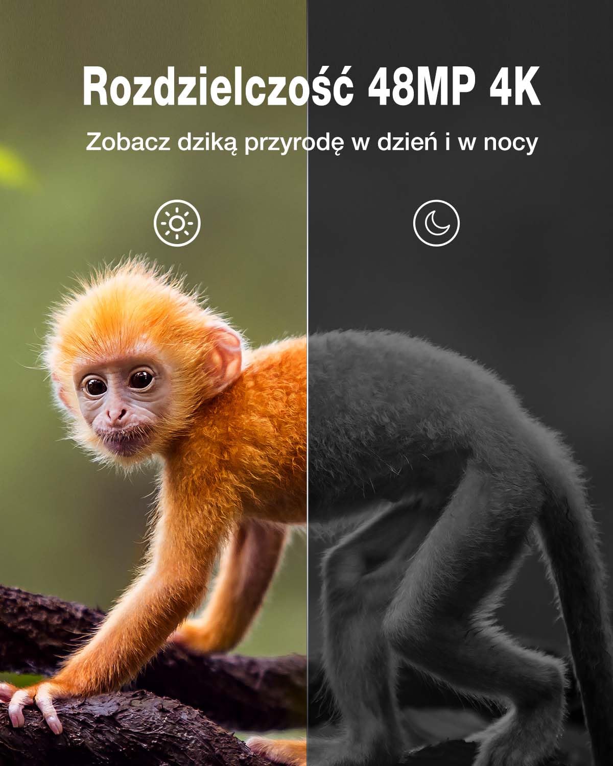 WOLFANG Kamera Myśliwska, kamera do obserwacji dzikich zwierząt, Kamera leśna 2160p 48MP HD, diodami LED na podczerwień 940 nm, z czujnikiem ruchu, Czas Wyzwalania 0,2 s