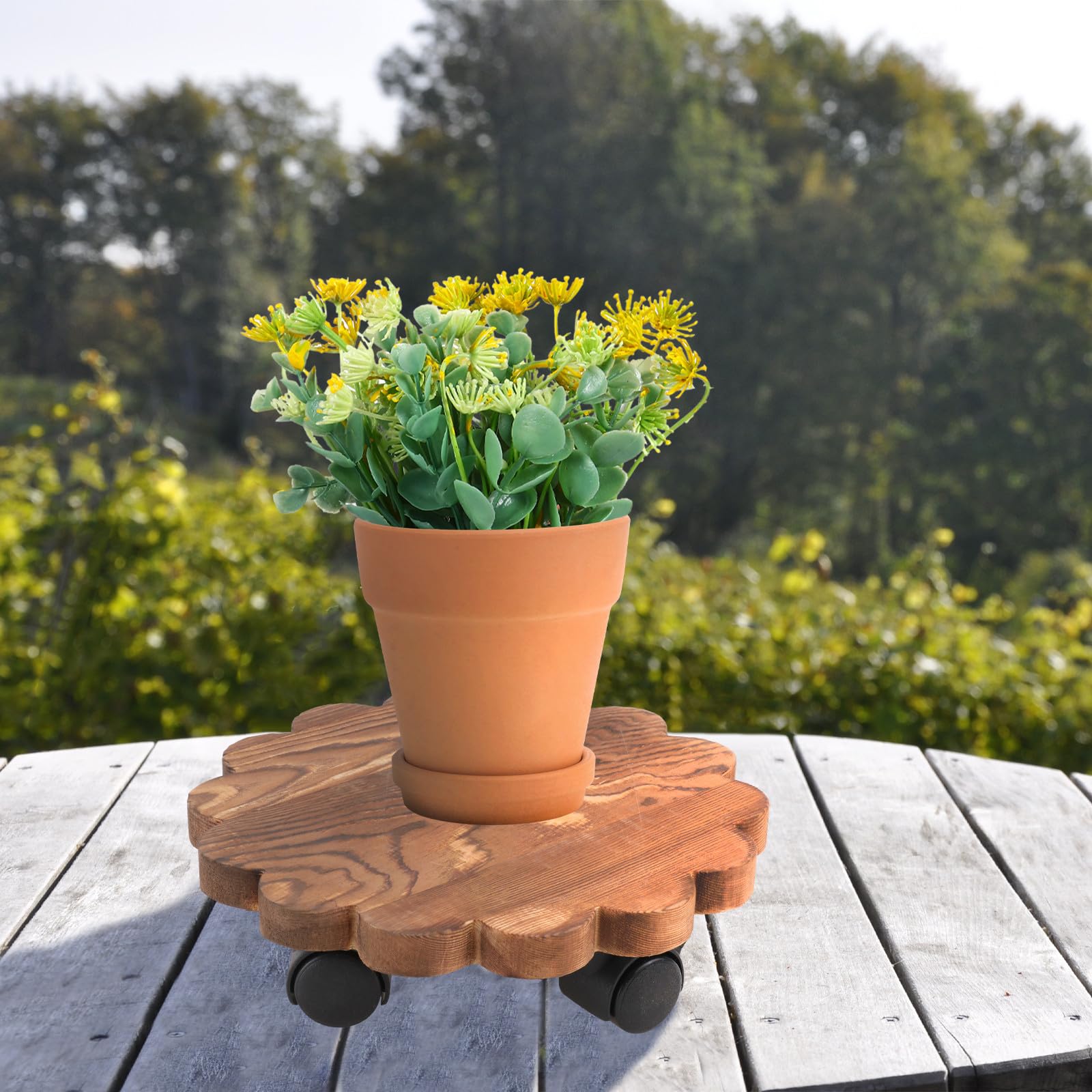 Totority Plateau roulettes pour Plantes en Bois, Support pour Pots de Fleurs Rond, Solide et Mobile, pour Bonsaï et Grands Vases, Balcon