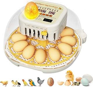 Egg Incubators for Hatching Eggs,12 Egg Incubator with Auto Egg Turning Humidity & Temperature Control, Egg Candler, Chicken Incubators for Chick, Duck, Quail, Goose Eggs, Upgraded Incubator