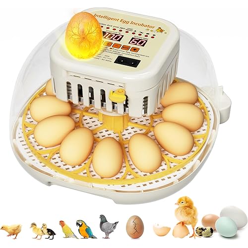 Egg Incubators for Hatching Eggs,12 Egg Incubator with Auto Egg Turning Humidity & Temperature Control, Egg Candler, Chicken Incubators for Chick, Duck, Quail, Goose Eggs, Upgraded Incubator