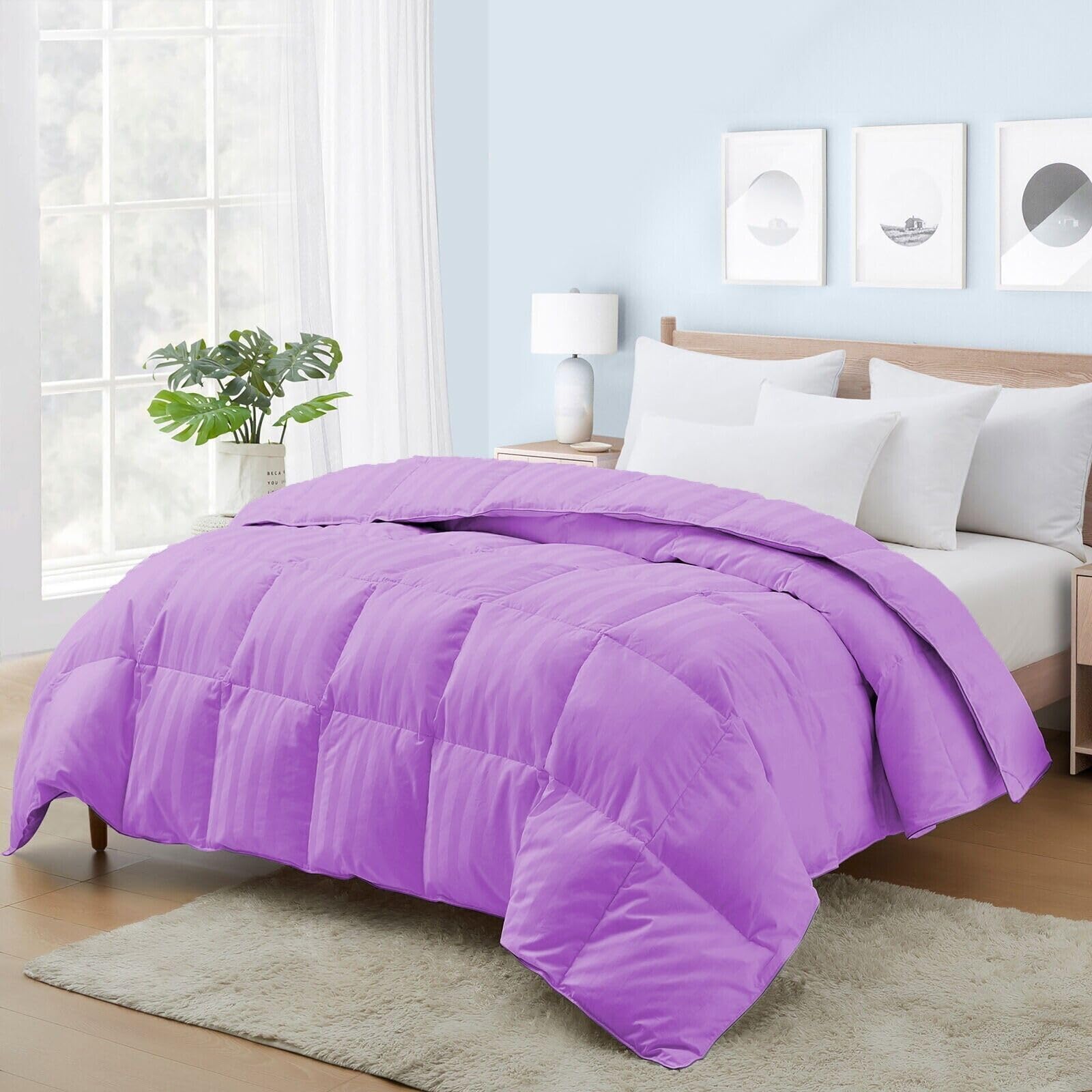 AHJ Beddings Premium 1000 Thread Count Twin-XL Size 1 Piece Comforter (500GSM Fiber Fill) Lilac Stripe 100% Egyptian Cotton, (68