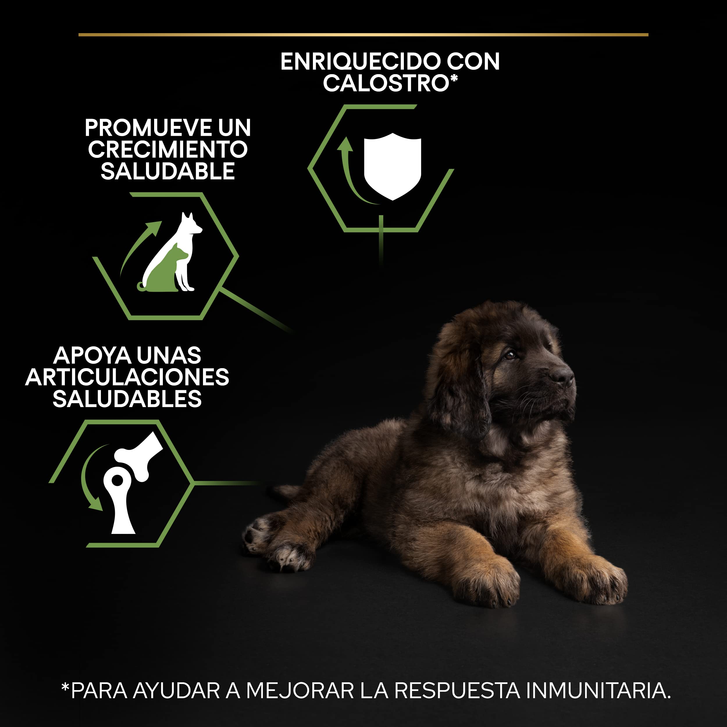 Pro Plan PURINA PRO PLAN Large Robust Puppy Healthy Start, Welpenfutter trocken, reich an Huhn, 1er Pack (1 x 12 kg)