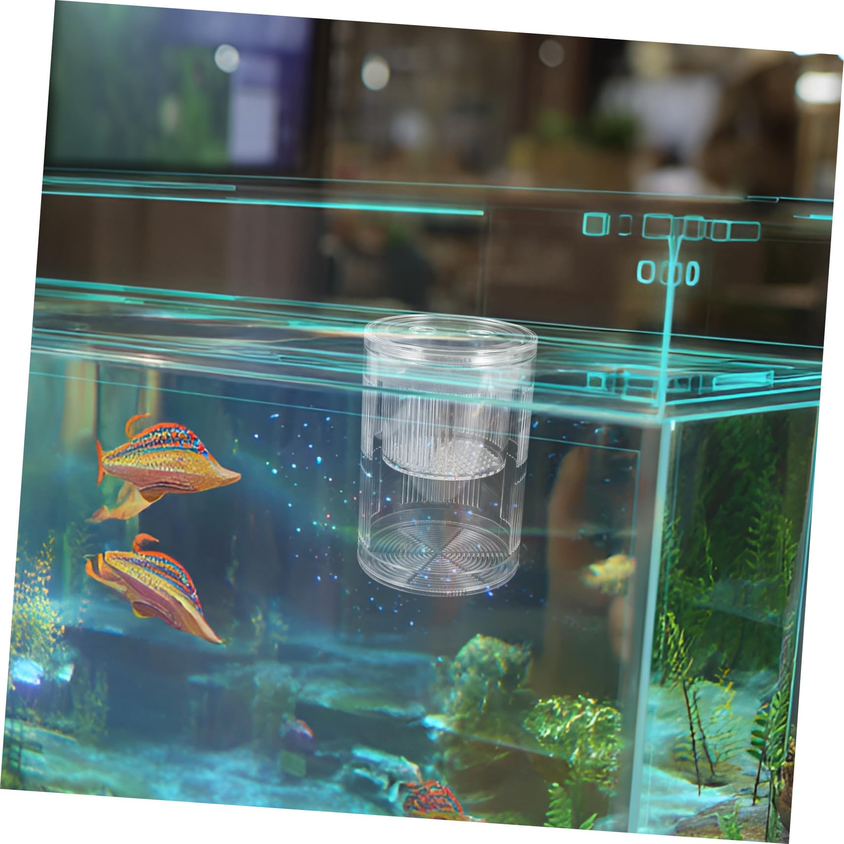 Schwimmende Fischzuchtbox aus Robustem Acryl Isolierende Brutkammer mit Saugnäpfen für Guppy und Betta Wiederverwendbare Aufzucht Brutbox für Aquarien mit Konstantem Wasserfluss