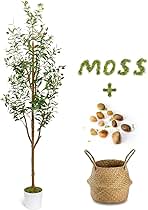 6FT Artificial Olive Tree - Indoor Tall Faux Olive Trees with Planter&Basket, Large Fake Olive Silk Tree Realistic Olive Plants with Branches and Fruits for Home Decor Office Living Room