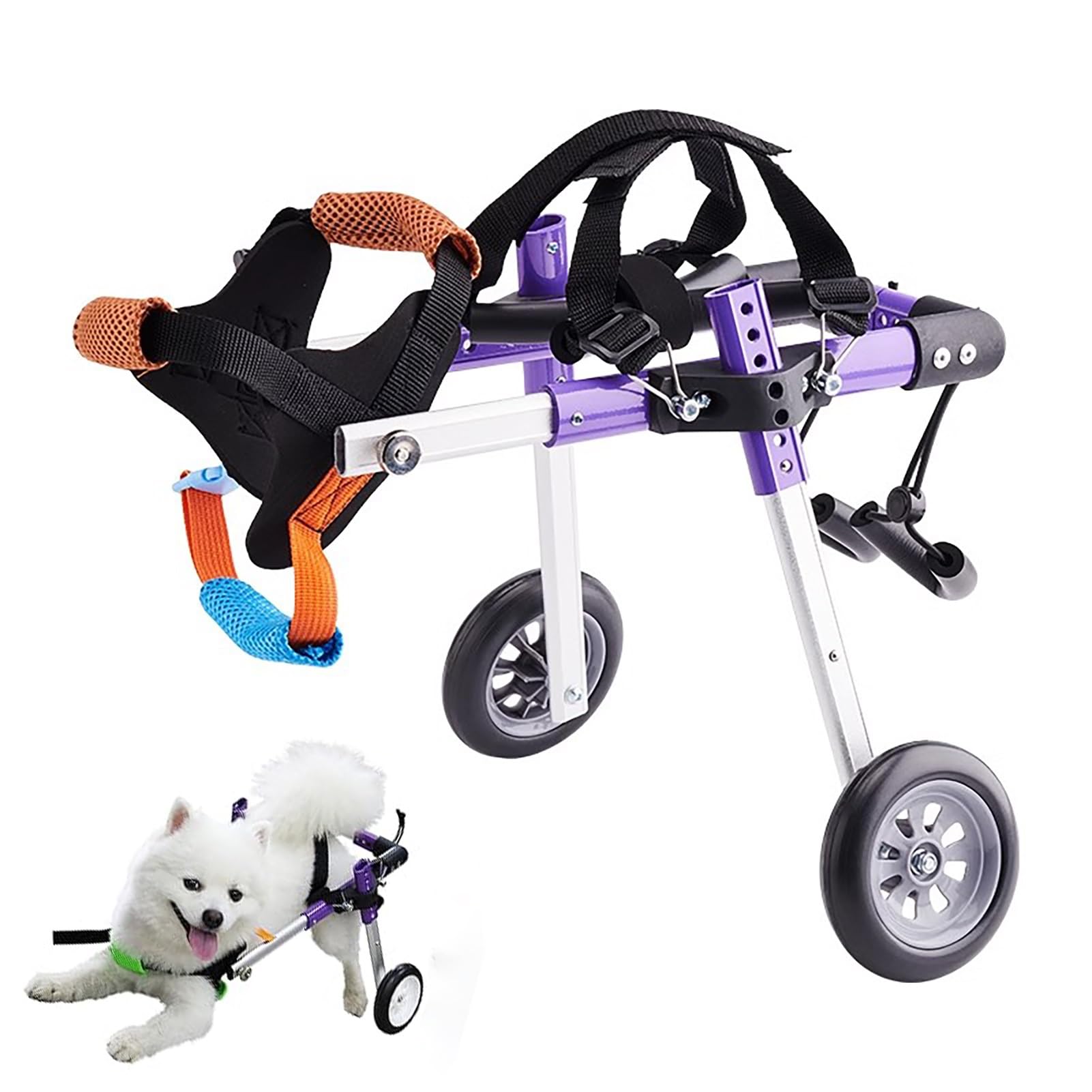 Silla de ruedas para perros pequeños: devuelve la alegría y el movimiento a tu mascota