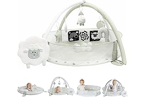 6-in-1 XL Activity Play Mat and Gym: A Baby Fitness Paradise for...