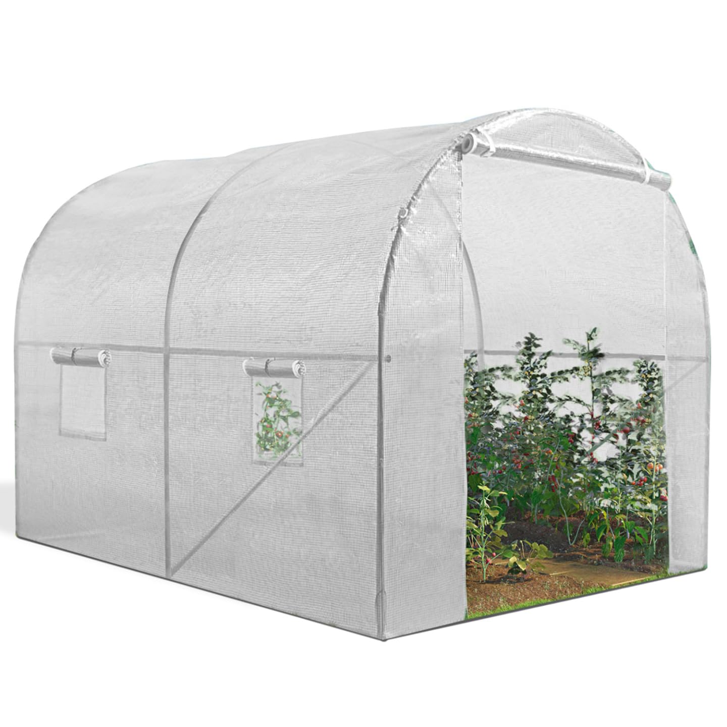 IDMarket - Serre Tunnel de Jardin 6M² Blanche Gamme maraîchère Roma 2x3M