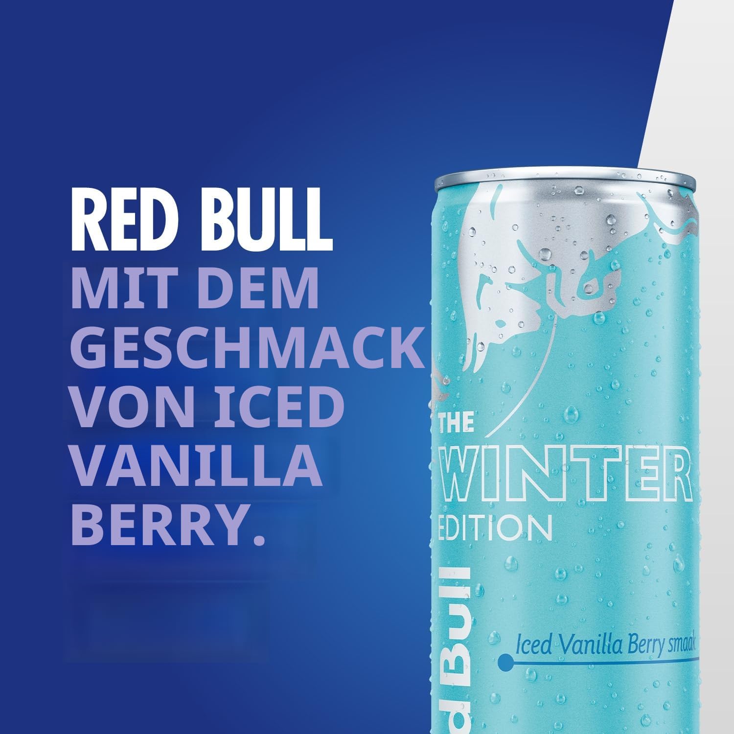Red Bull | Winter Edition | Blik | 12 x 250 ml