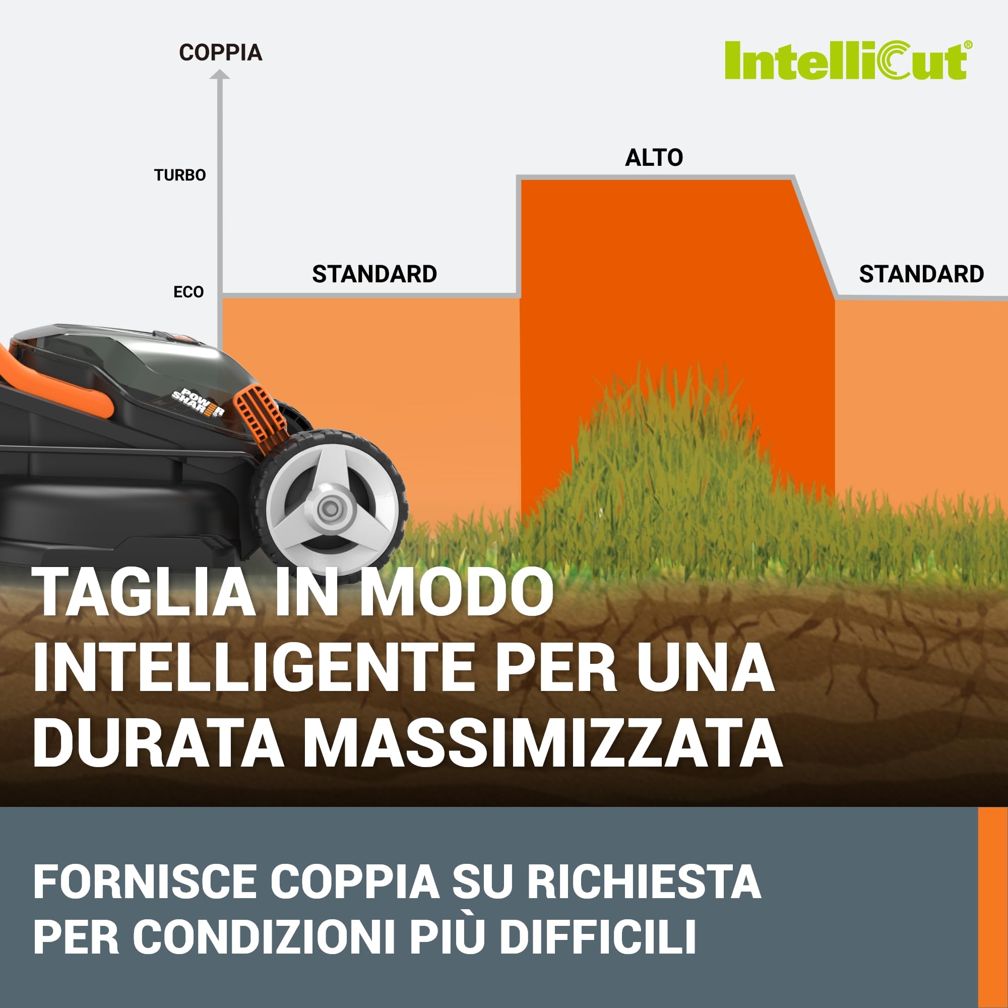 WORX WG779E Tosaerba a Batteria 40V Rasaerba Elettrico da Giardino, Diametro Taglio 34 cm, 2 Batteria da 2,5Ah