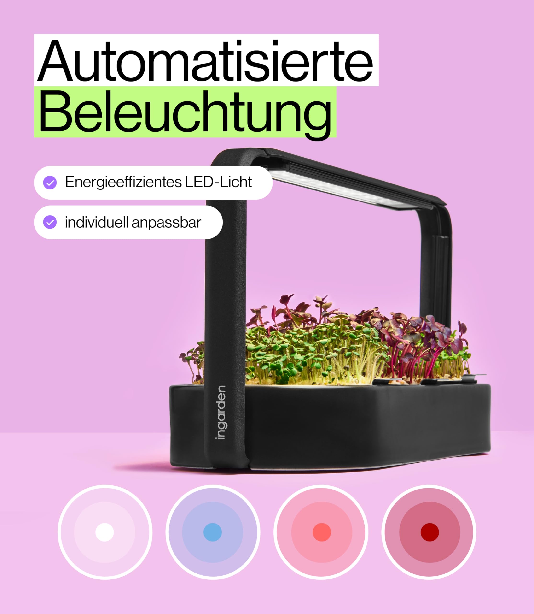 Smart Garden zestaw startowy – Indoor Garden z diodami LED do mikrozielonych – w zestawie 12 ekologicznych nasion – miska z ceramiki w kolorze wulkanicznej czerni – skandynawskie wzornictwo