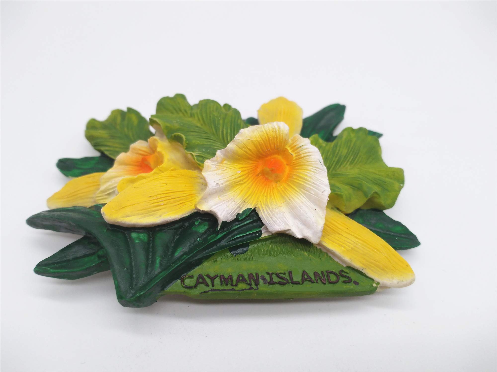 Magnete da frigorifero 3D Grand Cayman Isole Cayman UK, souvenir da viaggio, decorazione magnetica per frigorifero, collezione artigianale