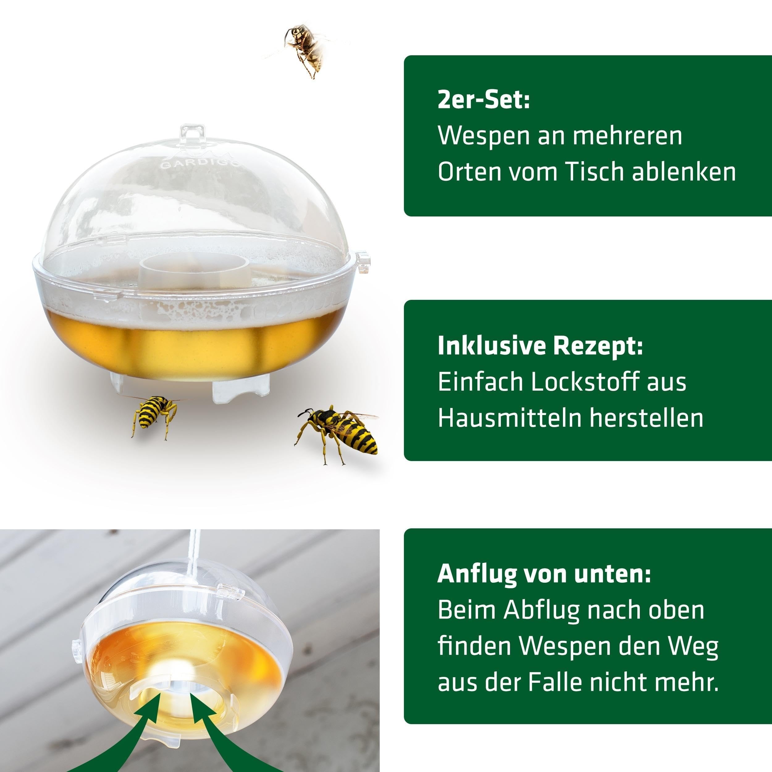 GARDIGO® Lot de 4 Piège À Mouches des Fruits, Attrape Insectes, Piège À Guêpes, À Usage Intérieur, avec Appât Naturel, Réutilisable, Fabriqué en Allemagne.