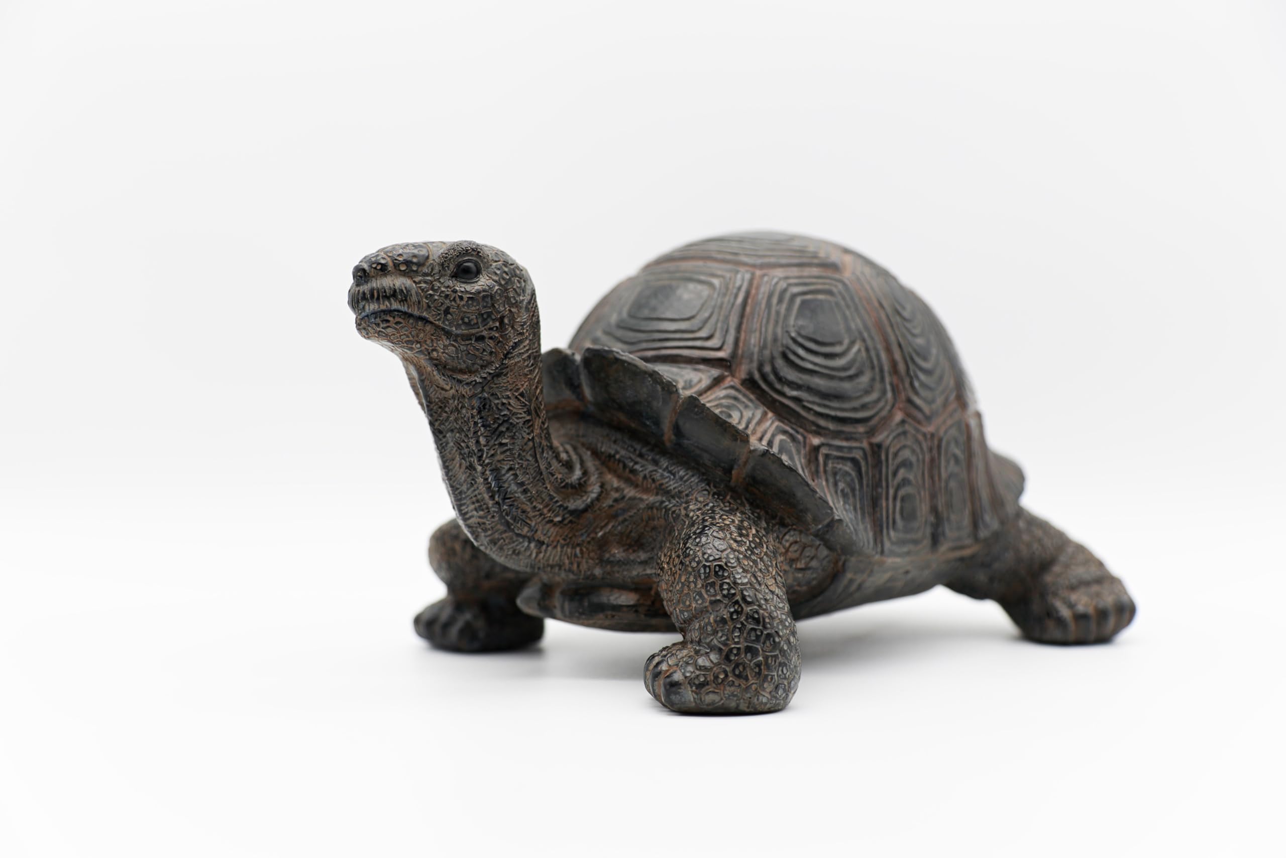 STEINFIGURENWELT GIEBEN Design Dekofigur Schildkröte XXL 24x48cm aus Poly Wohnzimmer Tierfigur Garten Deko Modern Gartendeko Gartenfigur (Schildkröte XXL)